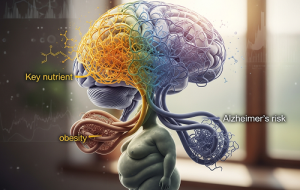 یه رابطه عجیب بین یه ماده مغذی مهم، چاقی و خطر ابتلا به آلزایمر پیدا شده یه رابطه عجیب بین یه ماده مغذی مهم، چاقی و خطر ابتلا به آلزایمر پیدا شده