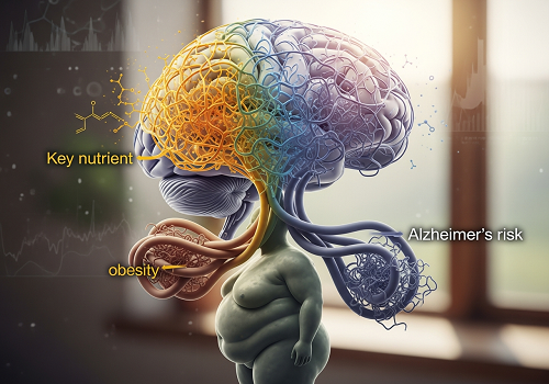 یه رابطه عجیب بین یه ماده مغذی مهم، چاقی و خطر ابتلا به آلزایمر پیدا شده یه رابطه عجیب بین یه ماده مغذی مهم، چاقی و خطر ابتلا به آلزایمر پیدا شده